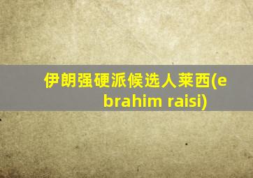 伊朗强硬派候选人莱西(ebrahim raisi)